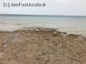 [P25] Zona unde este interzis intratul in mare » foto by bubica*
 - 
<span class="allrVoted glyphicon glyphicon-heart hidden" id="av1299687"></span>
<a class="m-l-10 hidden" id="sv1299687" onclick="voting_Foto_DelVot(,1299687,26752)" role="button">șterge vot <span class="glyphicon glyphicon-remove"></span></a>
<a id="v91299687" class=" c-red"  onclick="voting_Foto_SetVot(1299687)" role="button"><span class="glyphicon glyphicon-heart-empty"></span> <b>LIKE</b> = Votează poza</a> <img class="hidden"  id="f1299687W9" src="/imagini/loader.gif" border="0" /><span class="AjErrMes hidden" id="e1299687ErM"></span>