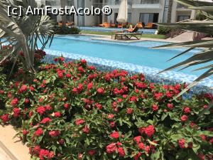 [P37] Alta piscina » foto by bubica*
 - 
<span class="allrVoted glyphicon glyphicon-heart hidden" id="av1299699"></span>
<a class="m-l-10 hidden" id="sv1299699" onclick="voting_Foto_DelVot(,1299699,26752)" role="button">șterge vot <span class="glyphicon glyphicon-remove"></span></a>
<a id="v91299699" class=" c-red"  onclick="voting_Foto_SetVot(1299699)" role="button"><span class="glyphicon glyphicon-heart-empty"></span> <b>LIKE</b> = Votează poza</a> <img class="hidden"  id="f1299699W9" src="/imagini/loader.gif" border="0" /><span class="AjErrMes hidden" id="e1299699ErM"></span>