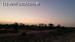 [P06] savană africană » foto by robert
 - 
<span class="allrVoted glyphicon glyphicon-heart hidden" id="av1222887"></span>
<a class="m-l-10 hidden" id="sv1222887" onclick="voting_Foto_DelVot(,1222887,26770)" role="button">șterge vot <span class="glyphicon glyphicon-remove"></span></a>
<a id="v91222887" class=" c-red"  onclick="voting_Foto_SetVot(1222887)" role="button"><span class="glyphicon glyphicon-heart-empty"></span> <b>LIKE</b> = Votează poza</a> <img class="hidden"  id="f1222887W9" src="/imagini/loader.gif" border="0" /><span class="AjErrMes hidden" id="e1222887ErM"></span>