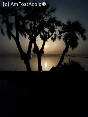 [P17] la lumina lunii pe lacul Afrar » foto by robert
 - 
<span class="allrVoted glyphicon glyphicon-heart hidden" id="av1226813"></span>
<a class="m-l-10 hidden" id="sv1226813" onclick="voting_Foto_DelVot(,1226813,26770)" role="button">șterge vot <span class="glyphicon glyphicon-remove"></span></a>
<a id="v91226813" class=" c-red"  onclick="voting_Foto_SetVot(1226813)" role="button"><span class="glyphicon glyphicon-heart-empty"></span> <b>LIKE</b> = Votează poza</a> <img class="hidden"  id="f1226813W9" src="/imagini/loader.gif" border="0" /><span class="AjErrMes hidden" id="e1226813ErM"></span>