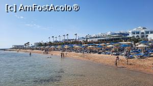 [P09]  -- <small>// FĂRĂ DESCRIERE</small> » foto by artemisa24
 - 
<span class="allrVoted glyphicon glyphicon-heart hidden" id="av1515044"></span>
<a class="m-l-10 hidden" id="sv1515044" onclick="voting_Foto_DelVot(,1515044,26773)" role="button">șterge vot <span class="glyphicon glyphicon-remove"></span></a>
<a id="v91515044" class=" c-red"  onclick="voting_Foto_SetVot(1515044)" role="button"><span class="glyphicon glyphicon-heart-empty"></span> <b>LIKE</b> = Votează poza</a> <img class="hidden"  id="f1515044W9" src="/imagini/loader.gif" border="0" /><span class="AjErrMes hidden" id="e1515044ErM"></span>