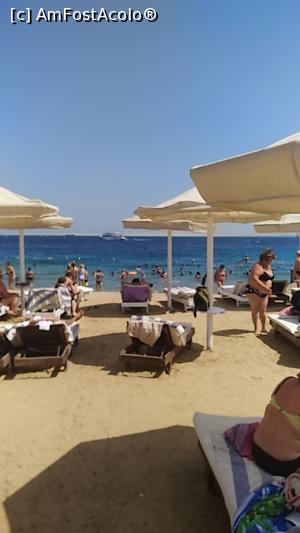 [P06] plaja La rosa waves » foto by viorelgeorgescu
 - 
<span class="allrVoted glyphicon glyphicon-heart hidden" id="av1260009"></span>
<a class="m-l-10 hidden" id="sv1260009" onclick="voting_Foto_DelVot(,1260009,26784)" role="button">șterge vot <span class="glyphicon glyphicon-remove"></span></a>
<a id="v91260009" class=" c-red"  onclick="voting_Foto_SetVot(1260009)" role="button"><span class="glyphicon glyphicon-heart-empty"></span> <b>LIKE</b> = Votează poza</a> <img class="hidden"  id="f1260009W9" src="/imagini/loader.gif" border="0" /><span class="AjErrMes hidden" id="e1260009ErM"></span>