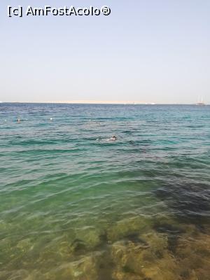 [P10] bucatica de mare unde se poate face snorkeling » foto by delia1
 - 
<span class="allrVoted glyphicon glyphicon-heart hidden" id="av1221588"></span>
<a class="m-l-10 hidden" id="sv1221588" onclick="voting_Foto_DelVot(,1221588,26784)" role="button">șterge vot <span class="glyphicon glyphicon-remove"></span></a>
<a id="v91221588" class=" c-red"  onclick="voting_Foto_SetVot(1221588)" role="button"><span class="glyphicon glyphicon-heart-empty"></span> <b>LIKE</b> = Votează poza</a> <img class="hidden"  id="f1221588W9" src="/imagini/loader.gif" border="0" /><span class="AjErrMes hidden" id="e1221588ErM"></span>