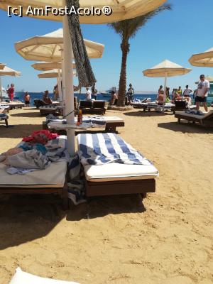 [P07] plaja hotel » foto by delia1
 - 
<span class="allrVoted glyphicon glyphicon-heart hidden" id="av1221585"></span>
<a class="m-l-10 hidden" id="sv1221585" onclick="voting_Foto_DelVot(,1221585,26784)" role="button">șterge vot <span class="glyphicon glyphicon-remove"></span></a>
<a id="v91221585" class=" c-red"  onclick="voting_Foto_SetVot(1221585)" role="button"><span class="glyphicon glyphicon-heart-empty"></span> <b>LIKE</b> = Votează poza</a> <img class="hidden"  id="f1221585W9" src="/imagini/loader.gif" border="0" /><span class="AjErrMes hidden" id="e1221585ErM"></span>