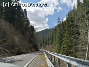 [P01] Drumul Regelui » foto by elise
 - 
<span class="allrVoted glyphicon glyphicon-heart hidden" id="av1223771"></span>
<a class="m-l-10 hidden" id="sv1223771" onclick="voting_Foto_DelVot(,1223771,26798)" role="button">șterge vot <span class="glyphicon glyphicon-remove"></span></a>
<a id="v91223771" class=" c-red"  onclick="voting_Foto_SetVot(1223771)" role="button"><span class="glyphicon glyphicon-heart-empty"></span> <b>LIKE</b> = Votează poza</a> <img class="hidden"  id="f1223771W9" src="/imagini/loader.gif" border="0" /><span class="AjErrMes hidden" id="e1223771ErM"></span>