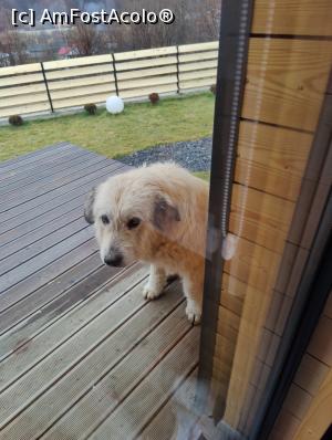 [P43] Din nou musafiri! » foto by crismis
 - 
<span class="allrVoted glyphicon glyphicon-heart hidden" id="av1353613"></span>
<a class="m-l-10 hidden" id="sv1353613" onclick="voting_Foto_DelVot(,1353613,26804)" role="button">șterge vot <span class="glyphicon glyphicon-remove"></span></a>
<a id="v91353613" class=" c-red"  onclick="voting_Foto_SetVot(1353613)" role="button"><span class="glyphicon glyphicon-heart-empty"></span> <b>LIKE</b> = Votează poza</a> <img class="hidden"  id="f1353613W9" src="/imagini/loader.gif" border="0" /><span class="AjErrMes hidden" id="e1353613ErM"></span>