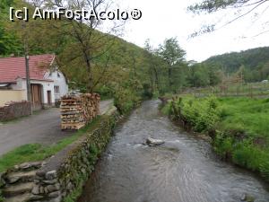 [P11] P&acirc;r&acirc;ul Negru. » foto by Safta Radu
 - 
<span class="allrVoted glyphicon glyphicon-heart hidden" id="av1226108"></span>
<a class="m-l-10 hidden" id="sv1226108" onclick="voting_Foto_DelVot(,1226108,26818)" role="button">șterge vot <span class="glyphicon glyphicon-remove"></span></a>
<a id="v91226108" class=" c-red"  onclick="voting_Foto_SetVot(1226108)" role="button"><span class="glyphicon glyphicon-heart-empty"></span> <b>LIKE</b> = Votează poza</a> <img class="hidden"  id="f1226108W9" src="/imagini/loader.gif" border="0" /><span class="AjErrMes hidden" id="e1226108ErM"></span>