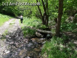 [P12] La plimbare prin &icirc;mprejurimi. » foto by Safta Radu
 - 
<span class="allrVoted glyphicon glyphicon-heart hidden" id="av1226109"></span>
<a class="m-l-10 hidden" id="sv1226109" onclick="voting_Foto_DelVot(,1226109,26818)" role="button">șterge vot <span class="glyphicon glyphicon-remove"></span></a>
<a id="v91226109" class=" c-red"  onclick="voting_Foto_SetVot(1226109)" role="button"><span class="glyphicon glyphicon-heart-empty"></span> <b>LIKE</b> = Votează poza</a> <img class="hidden"  id="f1226109W9" src="/imagini/loader.gif" border="0" /><span class="AjErrMes hidden" id="e1226109ErM"></span>