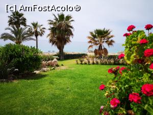 [P34] Frumoasa grădină a vilei » foto by crismis
 - 
<span class="allrVoted glyphicon glyphicon-heart hidden" id="av1226237"></span>
<a class="m-l-10 hidden" id="sv1226237" onclick="voting_Foto_DelVot(,1226237,26819)" role="button">șterge vot <span class="glyphicon glyphicon-remove"></span></a>
<a id="v91226237" class=" c-red"  onclick="voting_Foto_SetVot(1226237)" role="button"><span class="glyphicon glyphicon-heart-empty"></span> <b>LIKE</b> = Votează poza</a> <img class="hidden"  id="f1226237W9" src="/imagini/loader.gif" border="0" /><span class="AjErrMes hidden" id="e1226237ErM"></span>