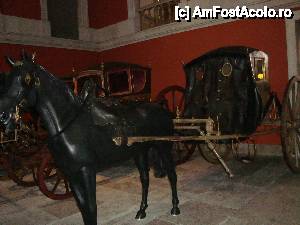 [P13] Imi place calul negru, hop trop la galop » foto by mireille
 - 
<span class="allrVoted glyphicon glyphicon-heart hidden" id="av486969"></span>
<a class="m-l-10 hidden" id="sv486969" onclick="voting_Foto_DelVot(,486969,26822)" role="button">șterge vot <span class="glyphicon glyphicon-remove"></span></a>
<a id="v9486969" class=" c-red"  onclick="voting_Foto_SetVot(486969)" role="button"><span class="glyphicon glyphicon-heart-empty"></span> <b>LIKE</b> = Votează poza</a> <img class="hidden"  id="f486969W9" src="/imagini/loader.gif" border="0" /><span class="AjErrMes hidden" id="e486969ErM"></span>