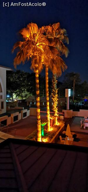 [P08] In fata hotel noaptea » foto by Mihai56
 - 
<span class="allrVoted glyphicon glyphicon-heart hidden" id="av1228227"></span>
<a class="m-l-10 hidden" id="sv1228227" onclick="voting_Foto_DelVot(,1228227,26834)" role="button">șterge vot <span class="glyphicon glyphicon-remove"></span></a>
<a id="v91228227" class=" c-red"  onclick="voting_Foto_SetVot(1228227)" role="button"><span class="glyphicon glyphicon-heart-empty"></span> <b>LIKE</b> = Votează poza</a> <img class="hidden"  id="f1228227W9" src="/imagini/loader.gif" border="0" /><span class="AjErrMes hidden" id="e1228227ErM"></span>
