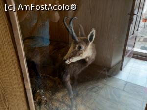 [P19] &bdquo;Trecut și prezent &icirc;n natura hunedoreană&rdquo;  MCDR » foto by maryka
 - 
<span class="allrVoted glyphicon glyphicon-heart hidden" id="av1229992"></span>
<a class="m-l-10 hidden" id="sv1229992" onclick="voting_Foto_DelVot(,1229992,26859)" role="button">șterge vot <span class="glyphicon glyphicon-remove"></span></a>
<a id="v91229992" class=" c-red"  onclick="voting_Foto_SetVot(1229992)" role="button"><span class="glyphicon glyphicon-heart-empty"></span> <b>LIKE</b> = Votează poza</a> <img class="hidden"  id="f1229992W9" src="/imagini/loader.gif" border="0" /><span class="AjErrMes hidden" id="e1229992ErM"></span>