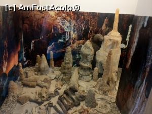 [P20] &bdquo;Trecut și prezent &icirc;n natura hunedoreană&rdquo; secția de științe ale naturii. » foto by maryka
 - 
<span class="allrVoted glyphicon glyphicon-heart hidden" id="av1229993"></span>
<a class="m-l-10 hidden" id="sv1229993" onclick="voting_Foto_DelVot(,1229993,26859)" role="button">șterge vot <span class="glyphicon glyphicon-remove"></span></a>
<a id="v91229993" class=" c-red"  onclick="voting_Foto_SetVot(1229993)" role="button"><span class="glyphicon glyphicon-heart-empty"></span> <b>LIKE</b> = Votează poza</a> <img class="hidden"  id="f1229993W9" src="/imagini/loader.gif" border="0" /><span class="AjErrMes hidden" id="e1229993ErM"></span>