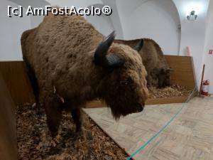 [P46] MCDR, secția de științe ale naturii. » foto by maryka
 - 
<span class="allrVoted glyphicon glyphicon-heart hidden" id="av1230019"></span>
<a class="m-l-10 hidden" id="sv1230019" onclick="voting_Foto_DelVot(,1230019,26859)" role="button">șterge vot <span class="glyphicon glyphicon-remove"></span></a>
<a id="v91230019" class=" c-red"  onclick="voting_Foto_SetVot(1230019)" role="button"><span class="glyphicon glyphicon-heart-empty"></span> <b>LIKE</b> = Votează poza</a> <img class="hidden"  id="f1230019W9" src="/imagini/loader.gif" border="0" /><span class="AjErrMes hidden" id="e1230019ErM"></span>