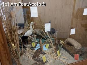 [P47] MCDR, secția de științe ale naturii. » foto by maryka
 - 
<span class="allrVoted glyphicon glyphicon-heart hidden" id="av1230020"></span>
<a class="m-l-10 hidden" id="sv1230020" onclick="voting_Foto_DelVot(,1230020,26859)" role="button">șterge vot <span class="glyphicon glyphicon-remove"></span></a>
<a id="v91230020" class=" c-red"  onclick="voting_Foto_SetVot(1230020)" role="button"><span class="glyphicon glyphicon-heart-empty"></span> <b>LIKE</b> = Votează poza</a> <img class="hidden"  id="f1230020W9" src="/imagini/loader.gif" border="0" /><span class="AjErrMes hidden" id="e1230020ErM"></span>