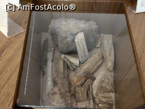 [P55] MCDR, secția de științe ale naturii. » foto by maryka
 - 
<span class="allrVoted glyphicon glyphicon-heart hidden" id="av1230028"></span>
<a class="m-l-10 hidden" id="sv1230028" onclick="voting_Foto_DelVot(,1230028,26859)" role="button">șterge vot <span class="glyphicon glyphicon-remove"></span></a>
<a id="v91230028" class=" c-red"  onclick="voting_Foto_SetVot(1230028)" role="button"><span class="glyphicon glyphicon-heart-empty"></span> <b>LIKE</b> = Votează poza</a> <img class="hidden"  id="f1230028W9" src="/imagini/loader.gif" border="0" /><span class="AjErrMes hidden" id="e1230028ErM"></span>