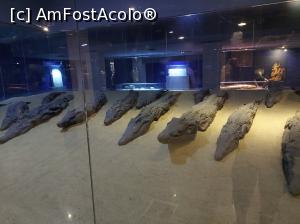 [P39] 39. În Muzeul Crocodilului sunt o mulțime de mumii ale acestui animal-zeu. » foto by msnd
 - 
<span class="allrVoted glyphicon glyphicon-heart hidden" id="av1232317"></span>
<a class="m-l-10 hidden" id="sv1232317" onclick="voting_Foto_DelVot(,1232317,26873)" role="button">șterge vot <span class="glyphicon glyphicon-remove"></span></a>
<a id="v91232317" class=" c-red"  onclick="voting_Foto_SetVot(1232317)" role="button"><span class="glyphicon glyphicon-heart-empty"></span> <b>LIKE</b> = Votează poza</a> <img class="hidden"  id="f1232317W9" src="/imagini/loader.gif" border="0" /><span class="AjErrMes hidden" id="e1232317ErM"></span>