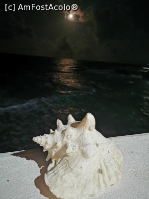 [P22] Luna deasupra Marii Caraibelor » foto by cata2106
 - 
<span class="allrVoted glyphicon glyphicon-heart hidden" id="av1233679"></span>
<a class="m-l-10 hidden" id="sv1233679" onclick="voting_Foto_DelVot(,1233679,26884)" role="button">șterge vot <span class="glyphicon glyphicon-remove"></span></a>
<a id="v91233679" class=" c-red"  onclick="voting_Foto_SetVot(1233679)" role="button"><span class="glyphicon glyphicon-heart-empty"></span> <b>LIKE</b> = Votează poza</a> <img class="hidden"  id="f1233679W9" src="/imagini/loader.gif" border="0" /><span class="AjErrMes hidden" id="e1233679ErM"></span>