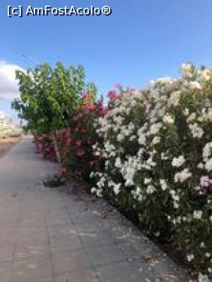 [P02]  -- <small>// FĂRĂ DESCRIERE</small> » foto by Patrim
 - 
<span class="allrVoted glyphicon glyphicon-heart hidden" id="av1236142"></span>
<a class="m-l-10 hidden" id="sv1236142" onclick="voting_Foto_DelVot(,1236142,26909)" role="button">șterge vot <span class="glyphicon glyphicon-remove"></span></a>
<a id="v91236142" class=" c-red"  onclick="voting_Foto_SetVot(1236142)" role="button"><span class="glyphicon glyphicon-heart-empty"></span> <b>LIKE</b> = Votează poza</a> <img class="hidden"  id="f1236142W9" src="/imagini/loader.gif" border="0" /><span class="AjErrMes hidden" id="e1236142ErM"></span>