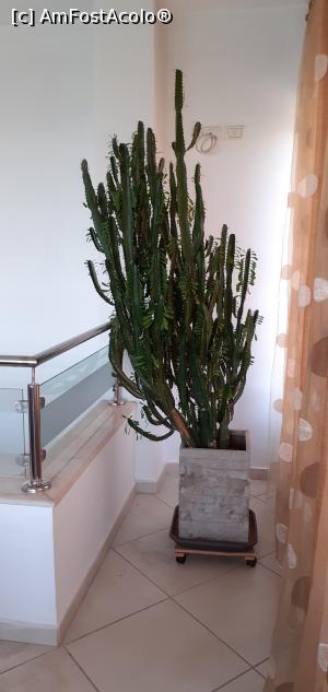 [P22] 22. Decor din plante naturale. » foto by doinafil
 - 
<span class="allrVoted glyphicon glyphicon-heart hidden" id="av1237551"></span>
<a class="m-l-10 hidden" id="sv1237551" onclick="voting_Foto_DelVot(,1237551,26920)" role="button">șterge vot <span class="glyphicon glyphicon-remove"></span></a>
<a id="v91237551" class=" c-red"  onclick="voting_Foto_SetVot(1237551)" role="button"><span class="glyphicon glyphicon-heart-empty"></span> <b>LIKE</b> = Votează poza</a> <img class="hidden"  id="f1237551W9" src="/imagini/loader.gif" border="0" /><span class="AjErrMes hidden" id="e1237551ErM"></span>