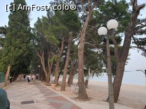 [P17] Zona de promenada » foto by LV
 - 
<span class="allrVoted glyphicon glyphicon-heart hidden" id="av1240020"></span>
<a class="m-l-10 hidden" id="sv1240020" onclick="voting_Foto_DelVot(,1240020,26940)" role="button">șterge vot <span class="glyphicon glyphicon-remove"></span></a>
<a id="v91240020" class=" c-red"  onclick="voting_Foto_SetVot(1240020)" role="button"><span class="glyphicon glyphicon-heart-empty"></span> <b>LIKE</b> = Votează poza</a> <img class="hidden"  id="f1240020W9" src="/imagini/loader.gif" border="0" /><span class="AjErrMes hidden" id="e1240020ErM"></span>