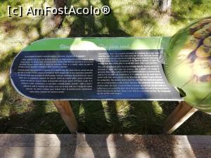 [P02] Panouri informative in tinovul mic » foto by simplegirl
 - 
<span class="allrVoted glyphicon glyphicon-heart hidden" id="av1103245"></span>
<a class="m-l-10 hidden" id="sv1103245" onclick="voting_Foto_DelVot(,1103245,26942)" role="button">șterge vot <span class="glyphicon glyphicon-remove"></span></a>
<a id="v91103245" class=" c-red"  onclick="voting_Foto_SetVot(1103245)" role="button"><span class="glyphicon glyphicon-heart-empty"></span> <b>LIKE</b> = Votează poza</a> <img class="hidden"  id="f1103245W9" src="/imagini/loader.gif" border="0" /><span class="AjErrMes hidden" id="e1103245ErM"></span>