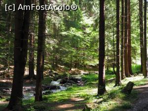 [P21] prin împrejurimi - spre cascada Urlătoarea » foto by k-lator
 - 
<span class="allrVoted glyphicon glyphicon-heart hidden" id="av1248470"></span>
<a class="m-l-10 hidden" id="sv1248470" onclick="voting_Foto_DelVot(,1248470,27027)" role="button">șterge vot <span class="glyphicon glyphicon-remove"></span></a>
<a id="v91248470" class=" c-red"  onclick="voting_Foto_SetVot(1248470)" role="button"><span class="glyphicon glyphicon-heart-empty"></span> <b>LIKE</b> = Votează poza</a> <img class="hidden"  id="f1248470W9" src="/imagini/loader.gif" border="0" /><span class="AjErrMes hidden" id="e1248470ErM"></span>