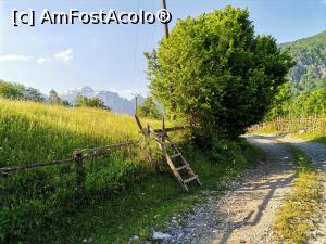 [P25] Imagine rurală albaneză » foto by Marius 72
 - 
<span class="allrVoted glyphicon glyphicon-heart hidden" id="av1249040"></span>
<a class="m-l-10 hidden" id="sv1249040" onclick="voting_Foto_DelVot(,1249040,27037)" role="button">șterge vot <span class="glyphicon glyphicon-remove"></span></a>
<a id="v91249040" class=" c-red"  onclick="voting_Foto_SetVot(1249040)" role="button"><span class="glyphicon glyphicon-heart-empty"></span> <b>LIKE</b> = Votează poza</a> <img class="hidden"  id="f1249040W9" src="/imagini/loader.gif" border="0" /><span class="AjErrMes hidden" id="e1249040ErM"></span>