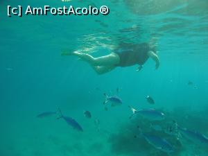 [P04] facand snorkeling la Jaz Makadina » foto by elenaadina
 - 
<span class="allrVoted glyphicon glyphicon-heart hidden" id="av1249103"></span>
<a class="m-l-10 hidden" id="sv1249103" onclick="voting_Foto_DelVot(,1249103,27039)" role="button">șterge vot <span class="glyphicon glyphicon-remove"></span></a>
<a id="v91249103" class=" c-red"  onclick="voting_Foto_SetVot(1249103)" role="button"><span class="glyphicon glyphicon-heart-empty"></span> <b>LIKE</b> = Votează poza</a> <img class="hidden"  id="f1249103W9" src="/imagini/loader.gif" border="0" /><span class="AjErrMes hidden" id="e1249103ErM"></span>