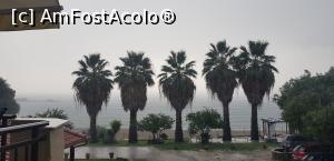[P14] Palmierii ( barbosii) » foto by bogdan78
 - 
<span class="allrVoted glyphicon glyphicon-heart hidden" id="av1251815"></span>
<a class="m-l-10 hidden" id="sv1251815" onclick="voting_Foto_DelVot(,1251815,27061)" role="button">șterge vot <span class="glyphicon glyphicon-remove"></span></a>
<a id="v91251815" class=" c-red"  onclick="voting_Foto_SetVot(1251815)" role="button"><span class="glyphicon glyphicon-heart-empty"></span> <b>LIKE</b> = Votează poza</a> <img class="hidden"  id="f1251815W9" src="/imagini/loader.gif" border="0" /><span class="AjErrMes hidden" id="e1251815ErM"></span>