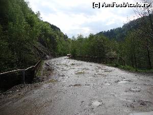[P05] După ce am traversat cu bine ”podul în pericol de prăbușire”, oprim să-i facem și o poză. Nu se putea altfel!  » foto by Floryn81
 - 
<span class="allrVoted glyphicon glyphicon-heart hidden" id="av637153"></span>
<a class="m-l-10 hidden" id="sv637153" onclick="voting_Foto_DelVot(,637153,27078)" role="button">șterge vot <span class="glyphicon glyphicon-remove"></span></a>
<a id="v9637153" class=" c-red"  onclick="voting_Foto_SetVot(637153)" role="button"><span class="glyphicon glyphicon-heart-empty"></span> <b>LIKE</b> = Votează poza</a> <img class="hidden"  id="f637153W9" src="/imagini/loader.gif" border="0" /><span class="AjErrMes hidden" id="e637153ErM"></span>