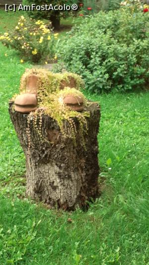 [P17] Aranjament floral cu ciubote » foto by Mitica49
 - 
<span class="allrVoted glyphicon glyphicon-heart hidden" id="av1257063"></span>
<a class="m-l-10 hidden" id="sv1257063" onclick="voting_Foto_DelVot(,1257063,27101)" role="button">șterge vot <span class="glyphicon glyphicon-remove"></span></a>
<a id="v91257063" class=" c-red"  onclick="voting_Foto_SetVot(1257063)" role="button"><span class="glyphicon glyphicon-heart-empty"></span> <b>LIKE</b> = Votează poza</a> <img class="hidden"  id="f1257063W9" src="/imagini/loader.gif" border="0" /><span class="AjErrMes hidden" id="e1257063ErM"></span>