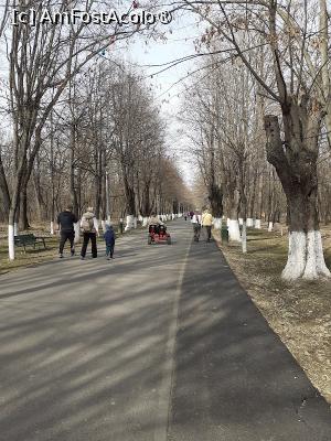 [P09] Pe aleea parcului » foto by Michi
 - 
<span class="allrVoted glyphicon glyphicon-heart hidden" id="av1423510"></span>
<a class="m-l-10 hidden" id="sv1423510" onclick="voting_Foto_DelVot(,1423510,27122)" role="button">șterge vot <span class="glyphicon glyphicon-remove"></span></a>
<a id="v91423510" class=" c-red"  onclick="voting_Foto_SetVot(1423510)" role="button"><span class="glyphicon glyphicon-heart-empty"></span> <b>LIKE</b> = Votează poza</a> <img class="hidden"  id="f1423510W9" src="/imagini/loader.gif" border="0" /><span class="AjErrMes hidden" id="e1423510ErM"></span>
