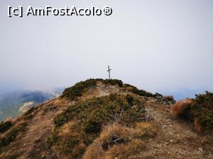 [P49] O cruce a vecinilor » foto by cata2106
 - 
<span class="allrVoted glyphicon glyphicon-heart hidden" id="av1261016"></span>
<a class="m-l-10 hidden" id="sv1261016" onclick="voting_Foto_DelVot(,1261016,27136)" role="button">șterge vot <span class="glyphicon glyphicon-remove"></span></a>
<a id="v91261016" class=" c-red"  onclick="voting_Foto_SetVot(1261016)" role="button"><span class="glyphicon glyphicon-heart-empty"></span> <b>LIKE</b> = Votează poza</a> <img class="hidden"  id="f1261016W9" src="/imagini/loader.gif" border="0" /><span class="AjErrMes hidden" id="e1261016ErM"></span>