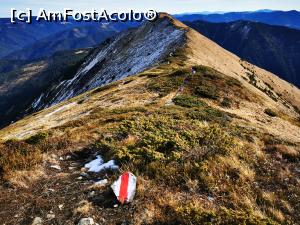 [P42] Marcaj bandă roșie, aproape de vârf » foto by cata2106
 - 
<span class="allrVoted glyphicon glyphicon-heart hidden" id="av1264968"></span>
<a class="m-l-10 hidden" id="sv1264968" onclick="voting_Foto_DelVot(,1264968,27136)" role="button">șterge vot <span class="glyphicon glyphicon-remove"></span></a>
<a id="v91264968" class=" c-red"  onclick="voting_Foto_SetVot(1264968)" role="button"><span class="glyphicon glyphicon-heart-empty"></span> <b>LIKE</b> = Votează poza</a> <img class="hidden"  id="f1264968W9" src="/imagini/loader.gif" border="0" /><span class="AjErrMes hidden" id="e1264968ErM"></span>