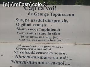 [P22] Invitatie la lectura » foto by Zoazore
 - 
<span class="allrVoted glyphicon glyphicon-heart hidden" id="av1526212"></span>
<a class="m-l-10 hidden" id="sv1526212" onclick="voting_Foto_DelVot(,1526212,27139)" role="button">șterge vot <span class="glyphicon glyphicon-remove"></span></a>
<a id="v91526212" class=" c-red"  onclick="voting_Foto_SetVot(1526212)" role="button"><span class="glyphicon glyphicon-heart-empty"></span> <b>LIKE</b> = Votează poza</a> <img class="hidden"  id="f1526212W9" src="/imagini/loader.gif" border="0" /><span class="AjErrMes hidden" id="e1526212ErM"></span>