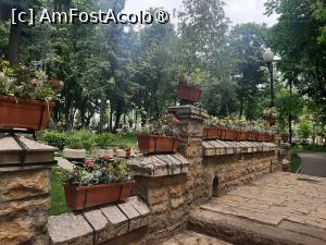 [P27] Medicamente pentru suflet » foto by Zoazore
 - 
<span class="allrVoted glyphicon glyphicon-heart hidden" id="av1526217"></span>
<a class="m-l-10 hidden" id="sv1526217" onclick="voting_Foto_DelVot(,1526217,27139)" role="button">șterge vot <span class="glyphicon glyphicon-remove"></span></a>
<a id="v91526217" class=" c-red"  onclick="voting_Foto_SetVot(1526217)" role="button"><span class="glyphicon glyphicon-heart-empty"></span> <b>LIKE</b> = Votează poza</a> <img class="hidden"  id="f1526217W9" src="/imagini/loader.gif" border="0" /><span class="AjErrMes hidden" id="e1526217ErM"></span>