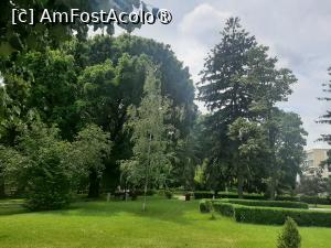 [P29] Invitatie la plimbare » foto by Zoazore
 - 
<span class="allrVoted glyphicon glyphicon-heart hidden" id="av1526219"></span>
<a class="m-l-10 hidden" id="sv1526219" onclick="voting_Foto_DelVot(,1526219,27139)" role="button">șterge vot <span class="glyphicon glyphicon-remove"></span></a>
<a id="v91526219" class=" c-red"  onclick="voting_Foto_SetVot(1526219)" role="button"><span class="glyphicon glyphicon-heart-empty"></span> <b>LIKE</b> = Votează poza</a> <img class="hidden"  id="f1526219W9" src="/imagini/loader.gif" border="0" /><span class="AjErrMes hidden" id="e1526219ErM"></span>