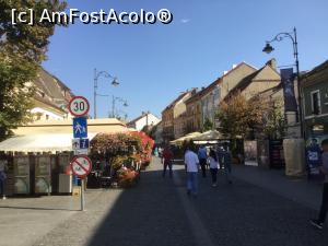 [P10] Sibiu - si intram pe deja celebra strada pietonala » foto by mishu
 - 
<span class="allrVoted glyphicon glyphicon-heart hidden" id="av928460"></span>
<a class="m-l-10 hidden" id="sv928460" onclick="voting_Foto_DelVot(,928460,27170)" role="button">șterge vot <span class="glyphicon glyphicon-remove"></span></a>
<a id="v9928460" class=" c-red"  onclick="voting_Foto_SetVot(928460)" role="button"><span class="glyphicon glyphicon-heart-empty"></span> <b>LIKE</b> = Votează poza</a> <img class="hidden"  id="f928460W9" src="/imagini/loader.gif" border="0" /><span class="AjErrMes hidden" id="e928460ErM"></span>