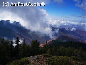 [P22] Priveliște superbă cu ceața » foto by cata2106
 - 
<span class="allrVoted glyphicon glyphicon-heart hidden" id="av1264146"></span>
<a class="m-l-10 hidden" id="sv1264146" onclick="voting_Foto_DelVot(,1264146,27171)" role="button">șterge vot <span class="glyphicon glyphicon-remove"></span></a>
<a id="v91264146" class=" c-red"  onclick="voting_Foto_SetVot(1264146)" role="button"><span class="glyphicon glyphicon-heart-empty"></span> <b>LIKE</b> = Votează poza</a> <img class="hidden"  id="f1264146W9" src="/imagini/loader.gif" border="0" /><span class="AjErrMes hidden" id="e1264146ErM"></span>