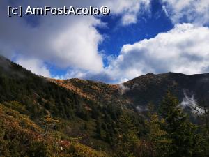 [P26] Creasta dintre Arcer și Țibleș » foto by cata2106
 - 
<span class="allrVoted glyphicon glyphicon-heart hidden" id="av1264150"></span>
<a class="m-l-10 hidden" id="sv1264150" onclick="voting_Foto_DelVot(,1264150,27171)" role="button">șterge vot <span class="glyphicon glyphicon-remove"></span></a>
<a id="v91264150" class=" c-red"  onclick="voting_Foto_SetVot(1264150)" role="button"><span class="glyphicon glyphicon-heart-empty"></span> <b>LIKE</b> = Votează poza</a> <img class="hidden"  id="f1264150W9" src="/imagini/loader.gif" border="0" /><span class="AjErrMes hidden" id="e1264150ErM"></span>