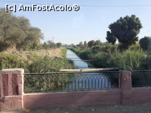 [P02] 2. În paralel cu Nilul este în permanență și un canal de irigații. » foto by msnd
 - 
<span class="allrVoted glyphicon glyphicon-heart hidden" id="av1264244"></span>
<a class="m-l-10 hidden" id="sv1264244" onclick="voting_Foto_DelVot(,1264244,27173)" role="button">șterge vot <span class="glyphicon glyphicon-remove"></span></a>
<a id="v91264244" class=" c-red"  onclick="voting_Foto_SetVot(1264244)" role="button"><span class="glyphicon glyphicon-heart-empty"></span> <b>LIKE</b> = Votează poza</a> <img class="hidden"  id="f1264244W9" src="/imagini/loader.gif" border="0" /><span class="AjErrMes hidden" id="e1264244ErM"></span>