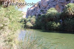 [P36] Creta, Preveli, Pădurea de Palmieri crescută pe malul apei și păzită de munte, unde mai găsești așa ceva.... » foto by mprofeanu
 - 
<span class="allrVoted glyphicon glyphicon-heart hidden" id="av1275141"></span>
<a class="m-l-10 hidden" id="sv1275141" onclick="voting_Foto_DelVot(,1275141,27187)" role="button">șterge vot <span class="glyphicon glyphicon-remove"></span></a>
<a id="v91275141" class=" c-red"  onclick="voting_Foto_SetVot(1275141)" role="button"><span class="glyphicon glyphicon-heart-empty"></span> <b>LIKE</b> = Votează poza</a> <img class="hidden"  id="f1275141W9" src="/imagini/loader.gif" border="0" /><span class="AjErrMes hidden" id="e1275141ErM"></span>