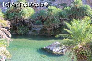 [P37] Creta, Preveli, Pădurea de Palmieri, apă, palmieri și stânci, unic!! » foto by mprofeanu
 - 
<span class="allrVoted glyphicon glyphicon-heart hidden" id="av1275142"></span>
<a class="m-l-10 hidden" id="sv1275142" onclick="voting_Foto_DelVot(,1275142,27187)" role="button">șterge vot <span class="glyphicon glyphicon-remove"></span></a>
<a id="v91275142" class=" c-red"  onclick="voting_Foto_SetVot(1275142)" role="button"><span class="glyphicon glyphicon-heart-empty"></span> <b>LIKE</b> = Votează poza</a> <img class="hidden"  id="f1275142W9" src="/imagini/loader.gif" border="0" /><span class="AjErrMes hidden" id="e1275142ErM"></span>
