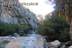 [P39] Creta, Preveli, Pădurea de Palmieri, Am ajuns la capătul drumului, se vede cum se îngustează canionul și au dispărut palmierii... pentru curajoși se poate merge mai departe prin canion.... » foto by mprofeanu
 - 
<span class="allrVoted glyphicon glyphicon-heart hidden" id="av1275144"></span>
<a class="m-l-10 hidden" id="sv1275144" onclick="voting_Foto_DelVot(,1275144,27187)" role="button">șterge vot <span class="glyphicon glyphicon-remove"></span></a>
<a id="v91275144" class=" c-red"  onclick="voting_Foto_SetVot(1275144)" role="button"><span class="glyphicon glyphicon-heart-empty"></span> <b>LIKE</b> = Votează poza</a> <img class="hidden"  id="f1275144W9" src="/imagini/loader.gif" border="0" /><span class="AjErrMes hidden" id="e1275144ErM"></span>