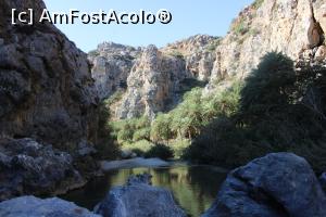 [P41] Creta, Preveli, Canionul Kourtaliotiko, Apa, palmieri și stânci, minune!! » foto by mprofeanu
 - 
<span class="allrVoted glyphicon glyphicon-heart hidden" id="av1275146"></span>
<a class="m-l-10 hidden" id="sv1275146" onclick="voting_Foto_DelVot(,1275146,27187)" role="button">șterge vot <span class="glyphicon glyphicon-remove"></span></a>
<a id="v91275146" class=" c-red"  onclick="voting_Foto_SetVot(1275146)" role="button"><span class="glyphicon glyphicon-heart-empty"></span> <b>LIKE</b> = Votează poza</a> <img class="hidden"  id="f1275146W9" src="/imagini/loader.gif" border="0" /><span class="AjErrMes hidden" id="e1275146ErM"></span>