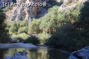 [P42] Creta, Preveli, Canionul Kourtaliotiko, Apa, palmieri și stânci » foto by mprofeanu
 - 
<span class="allrVoted glyphicon glyphicon-heart hidden" id="av1275147"></span>
<a class="m-l-10 hidden" id="sv1275147" onclick="voting_Foto_DelVot(,1275147,27187)" role="button">șterge vot <span class="glyphicon glyphicon-remove"></span></a>
<a id="v91275147" class=" c-red"  onclick="voting_Foto_SetVot(1275147)" role="button"><span class="glyphicon glyphicon-heart-empty"></span> <b>LIKE</b> = Votează poza</a> <img class="hidden"  id="f1275147W9" src="/imagini/loader.gif" border="0" /><span class="AjErrMes hidden" id="e1275147ErM"></span>