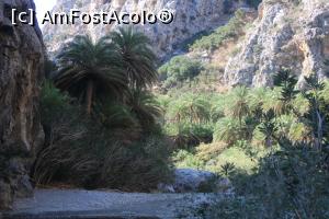 [P43] Creta, Preveli, Canionul Kourtaliotiko, Apa, palmieri și stânci » foto by mprofeanu
 - 
<span class="allrVoted glyphicon glyphicon-heart hidden" id="av1275148"></span>
<a class="m-l-10 hidden" id="sv1275148" onclick="voting_Foto_DelVot(,1275148,27187)" role="button">șterge vot <span class="glyphicon glyphicon-remove"></span></a>
<a id="v91275148" class=" c-red"  onclick="voting_Foto_SetVot(1275148)" role="button"><span class="glyphicon glyphicon-heart-empty"></span> <b>LIKE</b> = Votează poza</a> <img class="hidden"  id="f1275148W9" src="/imagini/loader.gif" border="0" /><span class="AjErrMes hidden" id="e1275148ErM"></span>