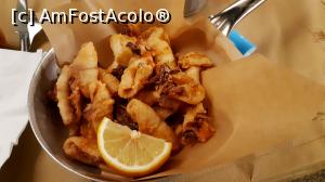 [P07] Restaurantul Aetos - calamarii mei » foto by Carmen Ion
 - 
<span class="allrVoted glyphicon glyphicon-heart hidden" id="av1266559"></span>
<a class="m-l-10 hidden" id="sv1266559" onclick="voting_Foto_DelVot(,1266559,27192)" role="button">șterge vot <span class="glyphicon glyphicon-remove"></span></a>
<a id="v91266559" class=" c-red"  onclick="voting_Foto_SetVot(1266559)" role="button"><span class="glyphicon glyphicon-heart-empty"></span> <b>LIKE</b> = Votează poza</a> <img class="hidden"  id="f1266559W9" src="/imagini/loader.gif" border="0" /><span class="AjErrMes hidden" id="e1266559ErM"></span>