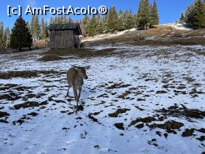 [P14]  -- <small>// FĂRĂ DESCRIERE</small> » foto by alex silva
 - 
<span class="allrVoted glyphicon glyphicon-heart hidden" id="av1268008"></span>
<a class="m-l-10 hidden" id="sv1268008" onclick="voting_Foto_DelVot(,1268008,27210)" role="button">șterge vot <span class="glyphicon glyphicon-remove"></span></a>
<a id="v91268008" class=" c-red"  onclick="voting_Foto_SetVot(1268008)" role="button"><span class="glyphicon glyphicon-heart-empty"></span> <b>LIKE</b> = Votează poza</a> <img class="hidden"  id="f1268008W9" src="/imagini/loader.gif" border="0" /><span class="AjErrMes hidden" id="e1268008ErM"></span>